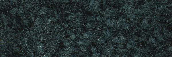 Farbe 636