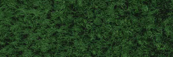 Farbe 640